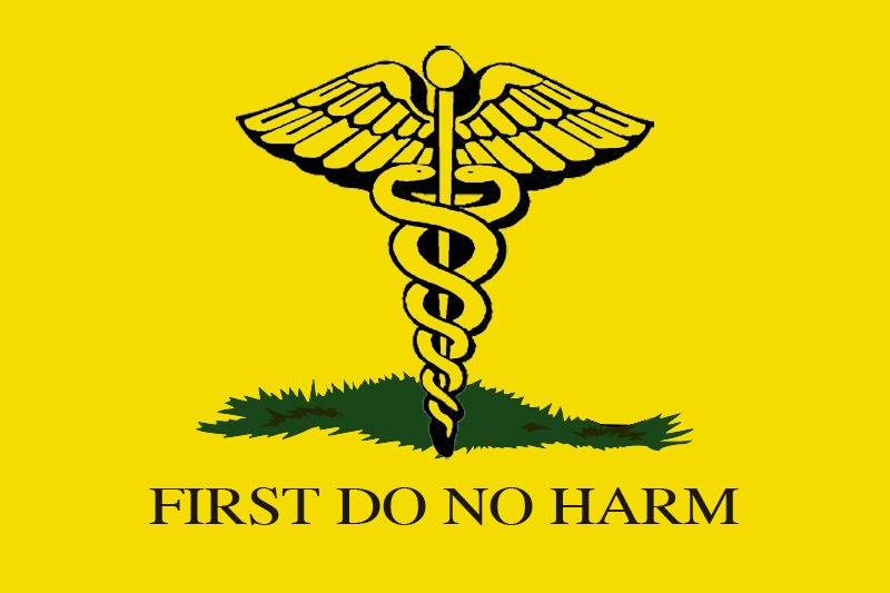 First, Do No Harm by Lisa Belkin — Reviews, Discussion 